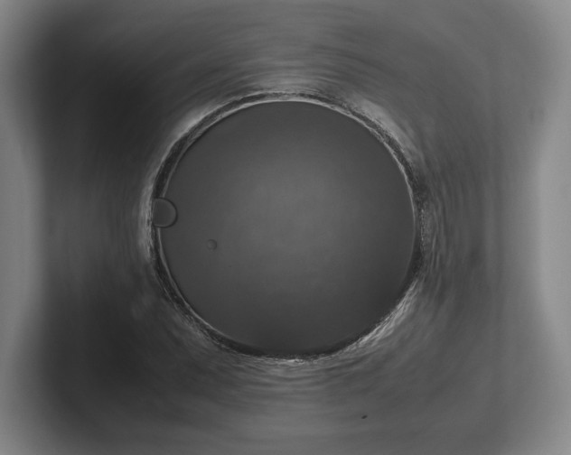 X0000102521071200808151528