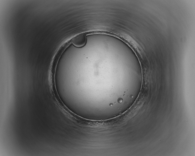 X0000102521072200808151528