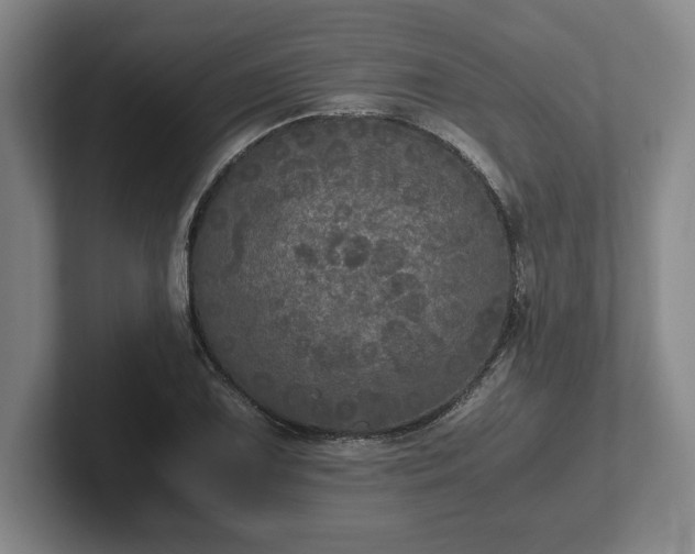 X0000102521075200808151528