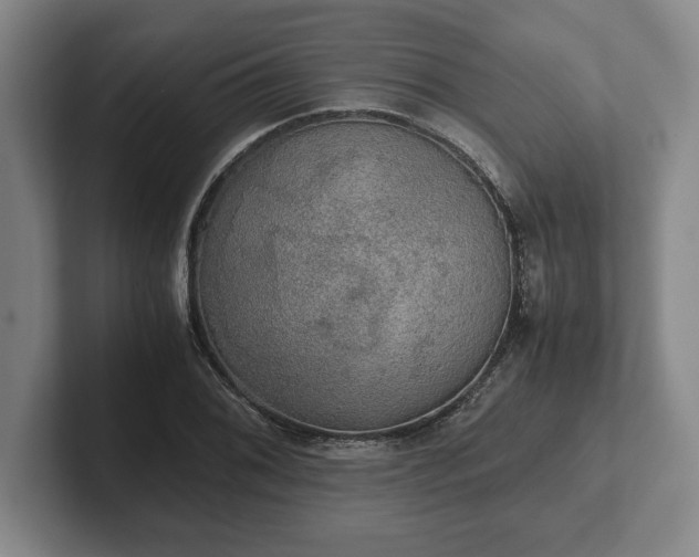 X0000102521076200808151528