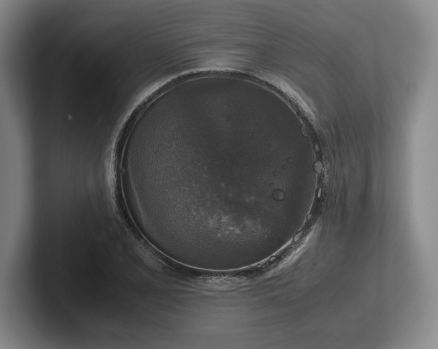 X0000102521077200808151528