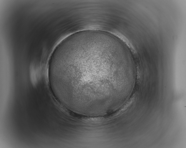 X0000102521078200808151528