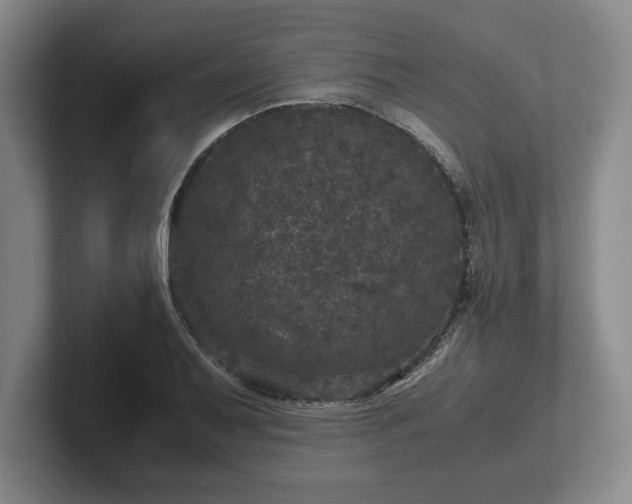 X0000102521079200808151528