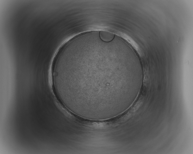 X0000102521080200808151528