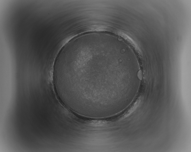 X0000102521081200808151528