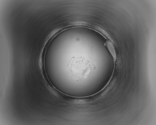 X0000102521082200808151528