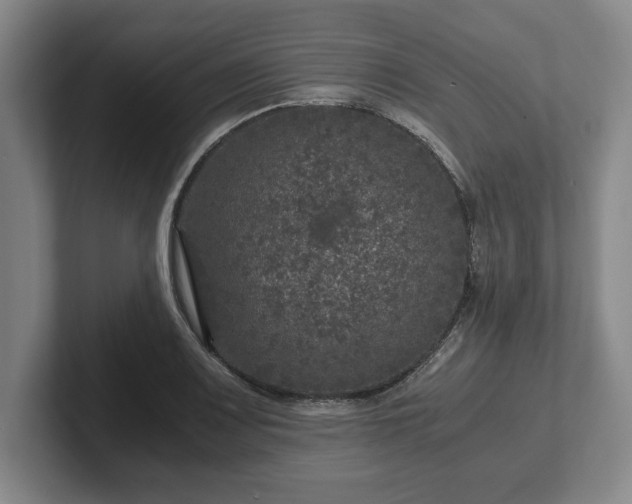 X0000102521083200808151528