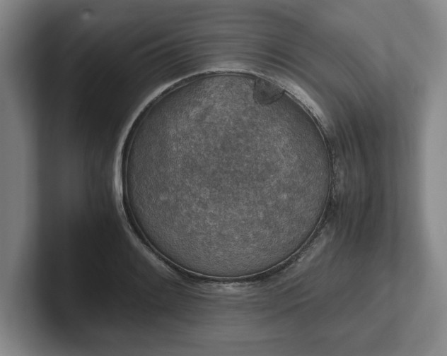 X0000102521084200808151527