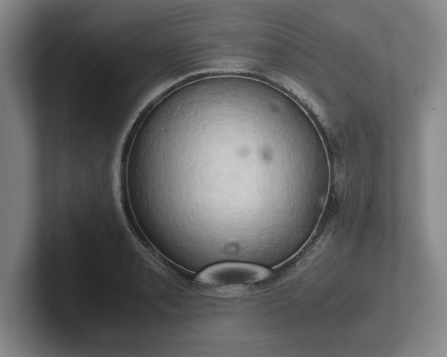 X0000102521085200808151527