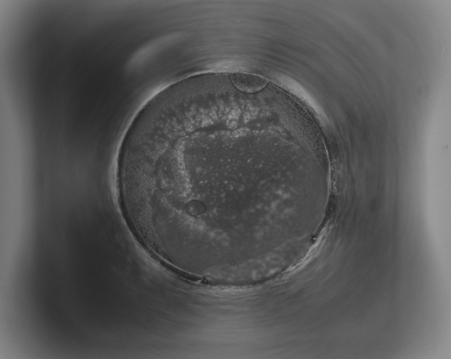 X0000102521087200808151527