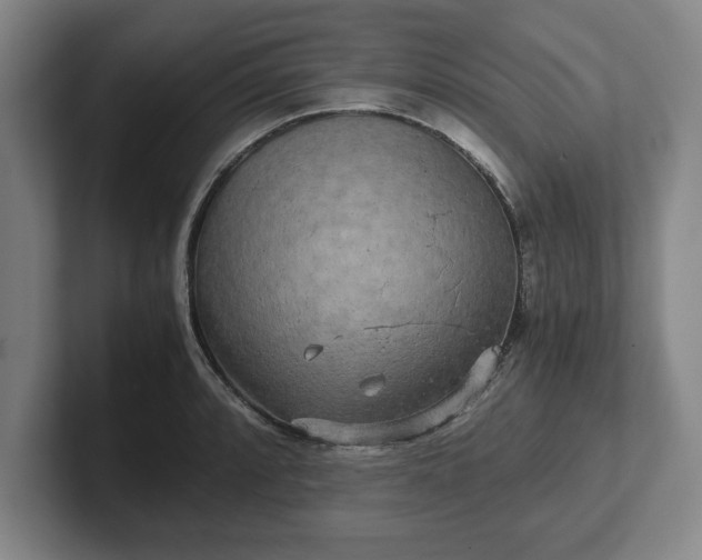 X0000102521088200808151527