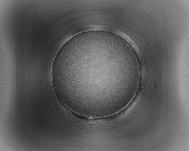 X0000102521089200808151527