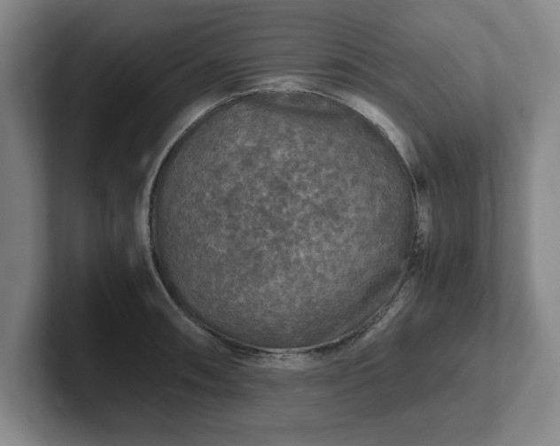 X0000102521090200808151527