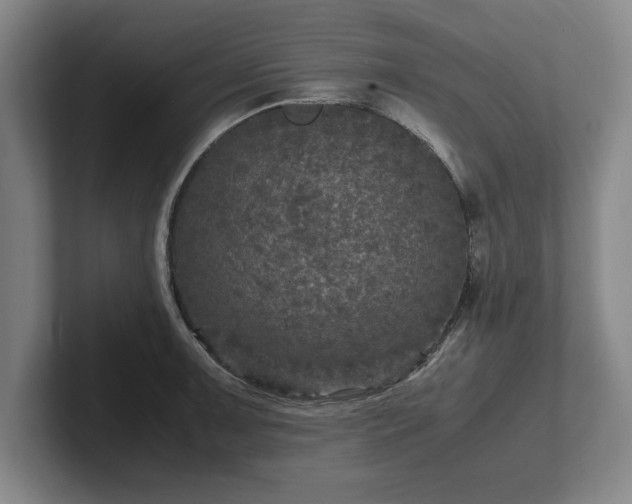 X0000102521091200808151527