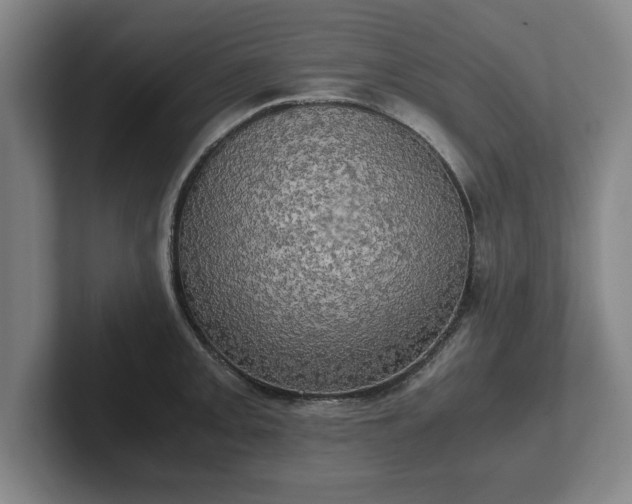 X0000102521093200808151527