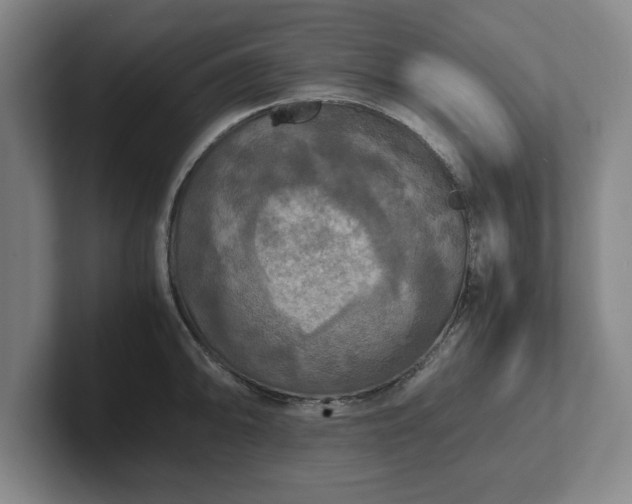 X0000102521094200808151527