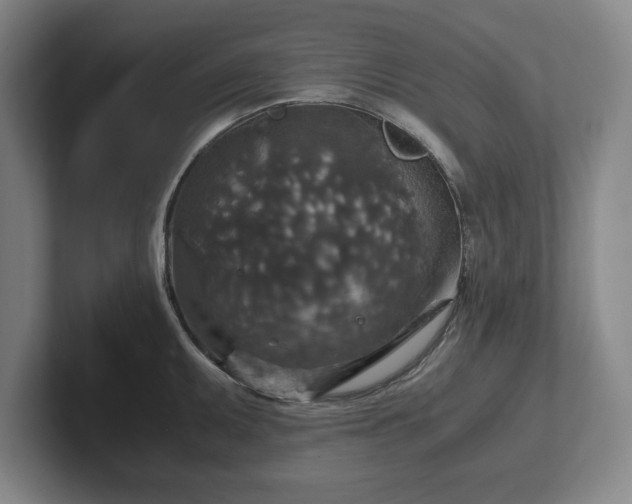 X0000102521095200808151527