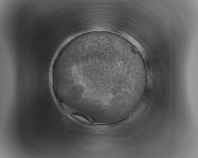 X0000102521096200808151527