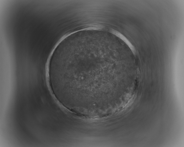 X0000102521099200808151527