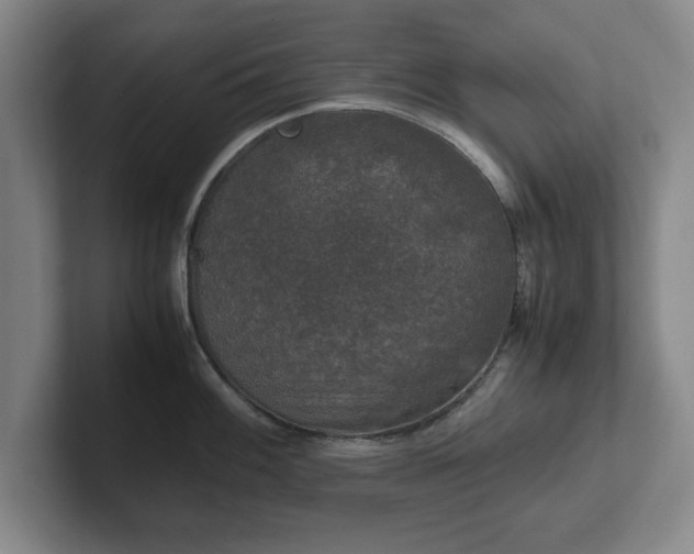 X0000102521100200808151527