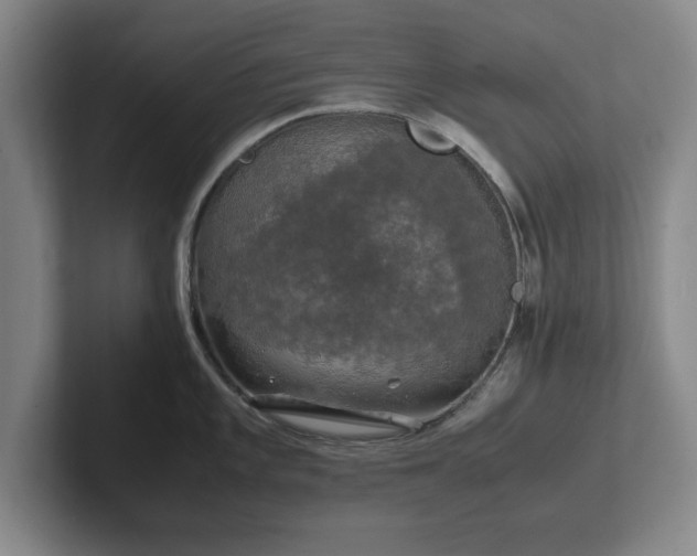 X0000102521101200808151527