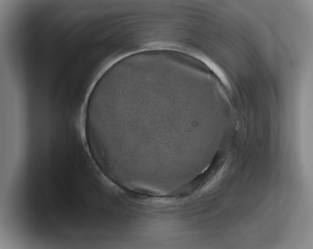 X0000102521102200808151527