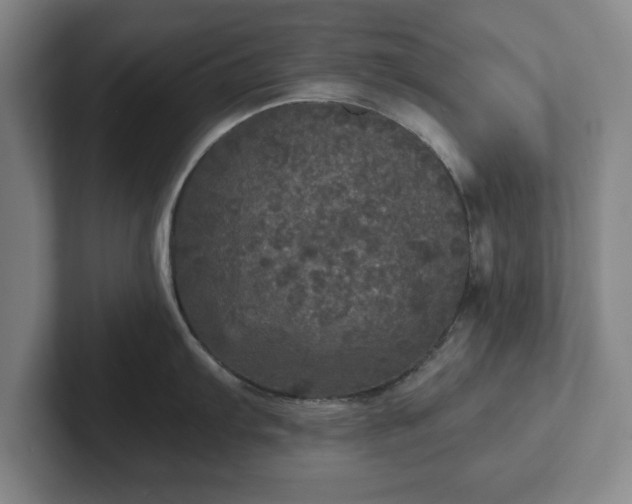 X0000102521103200808151527