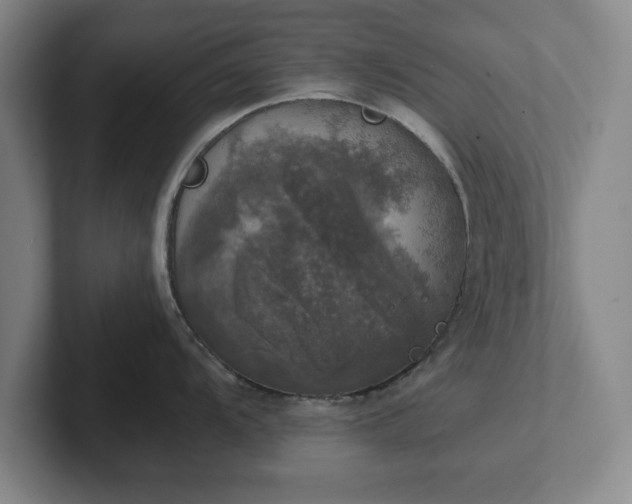 X0000102521104200808151527