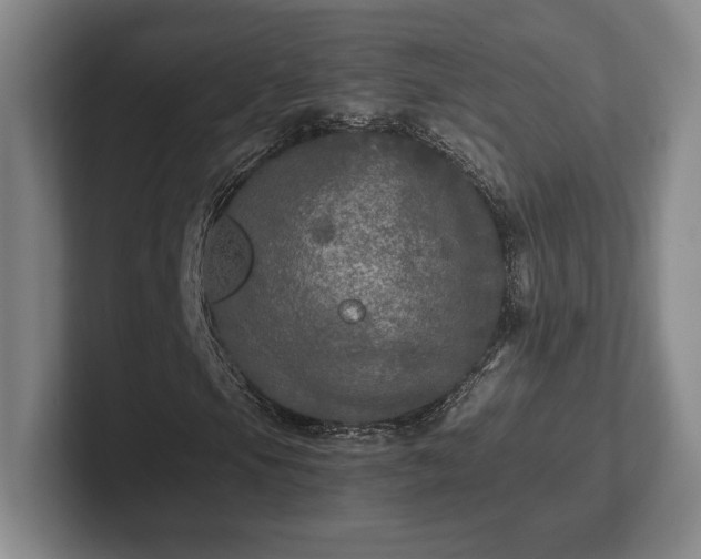 X0000102521105200808151527