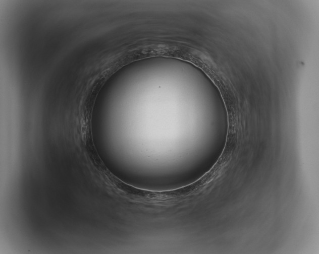 X0000102521109200808151527