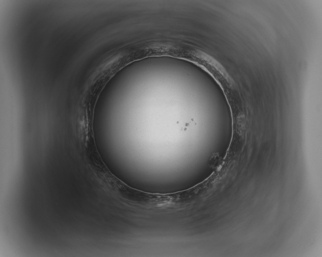 X0000102521111200808151527