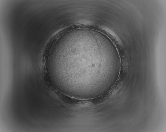 X0000102521112200808151527