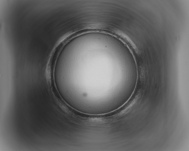 X0000102521114200808151527