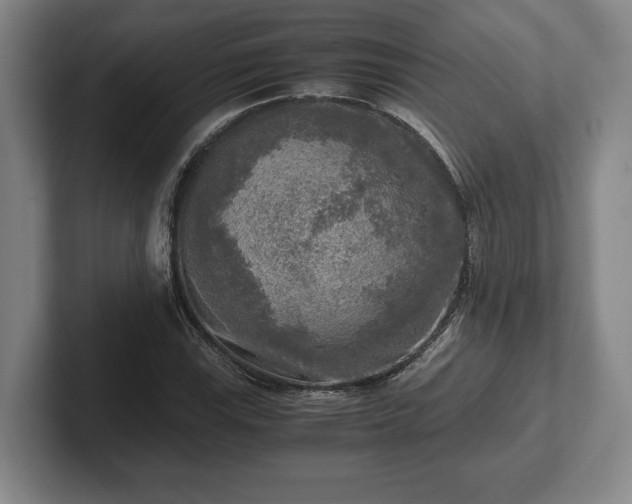 X0000102521115200808151527