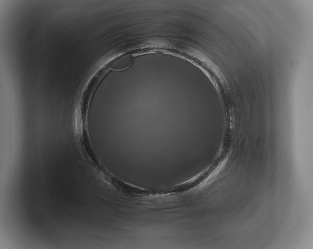 X0000102521117200808151527