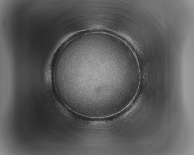 X0000102521118200808151527