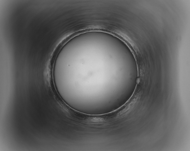 X0000102521119200808151527