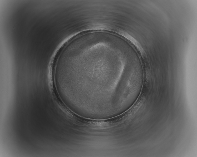 X0000102521120200808151527