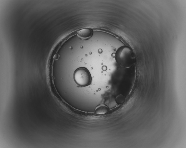 X0000102521122200808151527