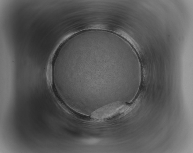 X0000102521123200808151527