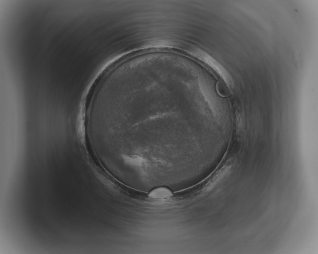 X0000102521124200808151527