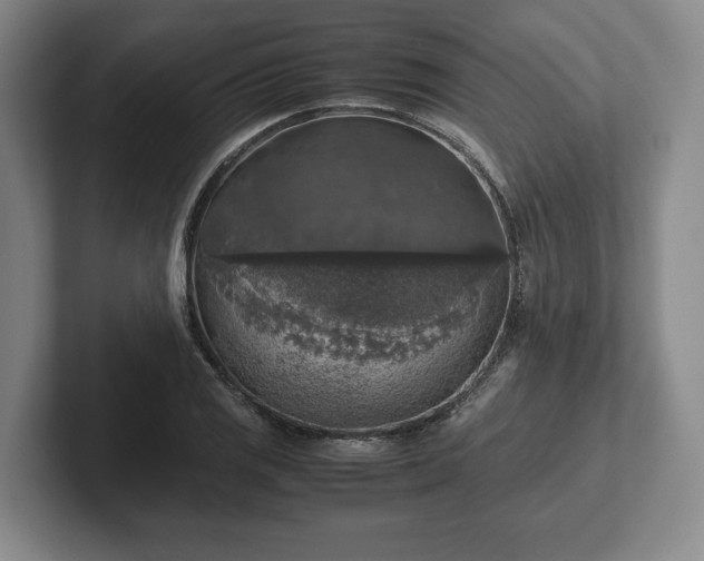 X0000102521125200808151527