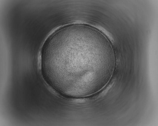 X0000102521126200808151527