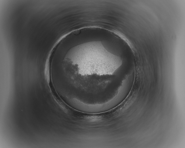 X0000102521127200808151527