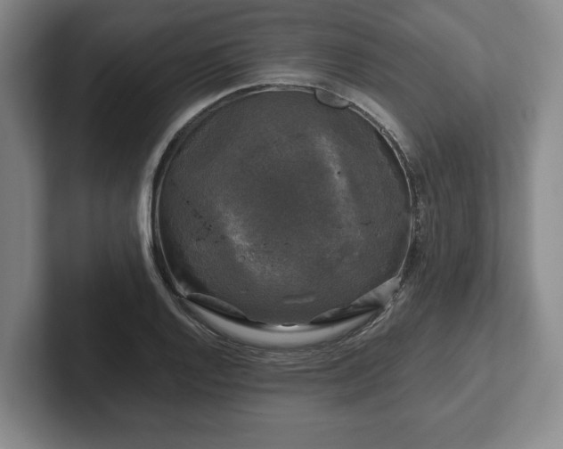 X0000102521128200808151527