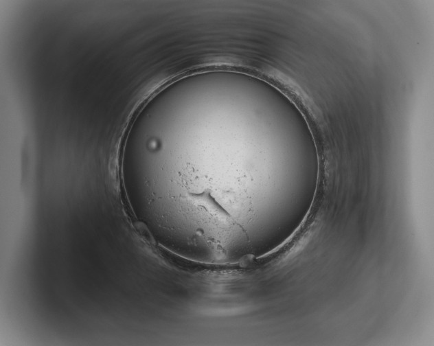 X0000102521129200808151527