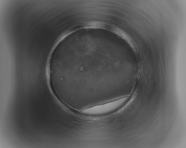 X0000102521130200808151527