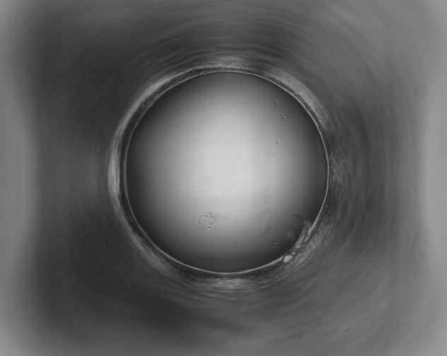 X0000102521131200808151527