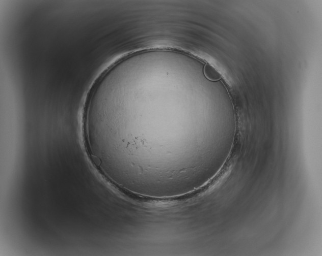 X0000102521134200808151527