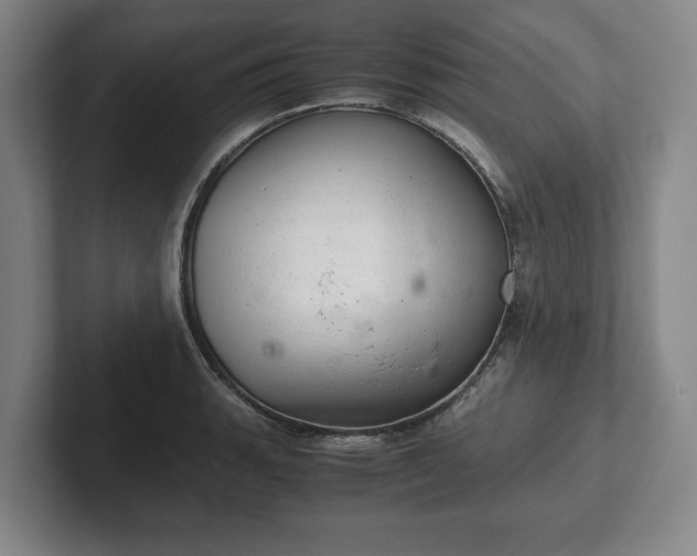 X0000102521135200808151527